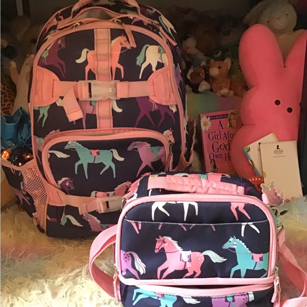 💝 Gifted Pottery Barn Kids horse XL roll backpack and lunch box